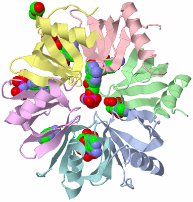 Image Asym./Biol. Unit