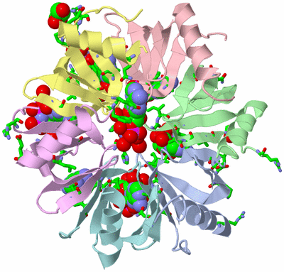 Image Asym./Biol. Unit - sites