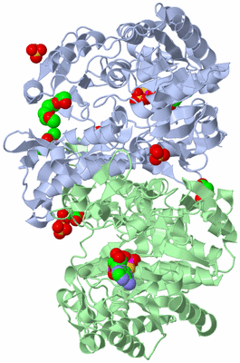 Image Asym./Biol. Unit