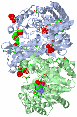 Image Asym./Biol. Unit - sites