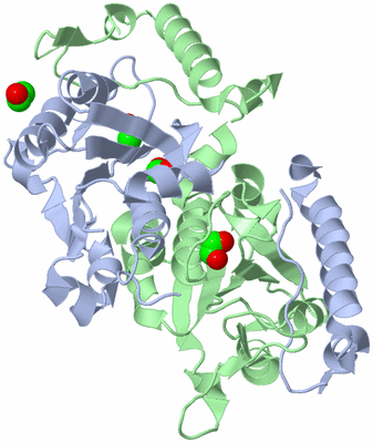 Image Asym./Biol. Unit