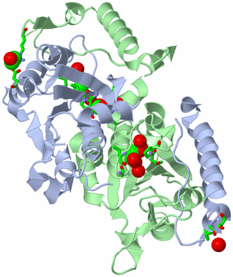 Image Asym./Biol. Unit - sites