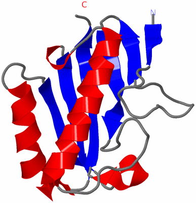 Image Asymmetric Unit