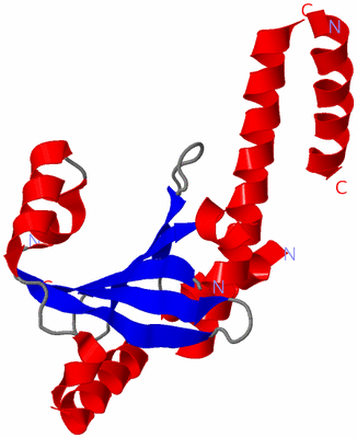 Image Asymmetric Unit