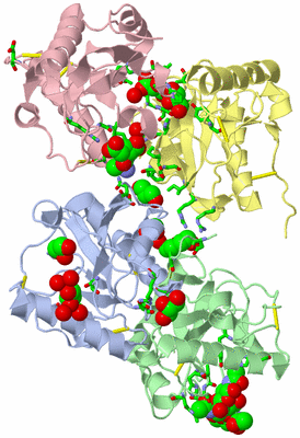 Image Asym./Biol. Unit - sites