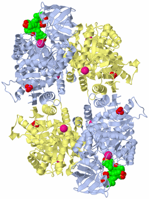 Image Biological Unit 1