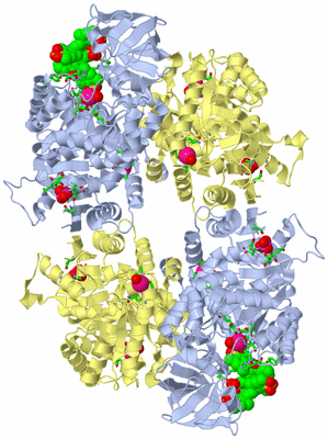 Image Biol. Unit 1 - sites