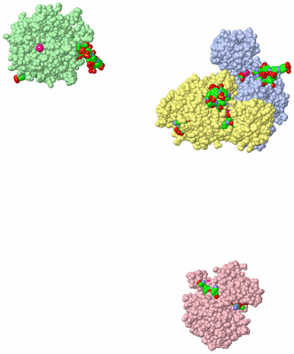 Image Biol. Unit 1 - sites