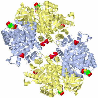 Image Biological Unit 1