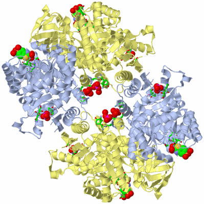 Image Biol. Unit 1 - sites