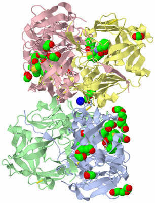 Image Biological Unit 1