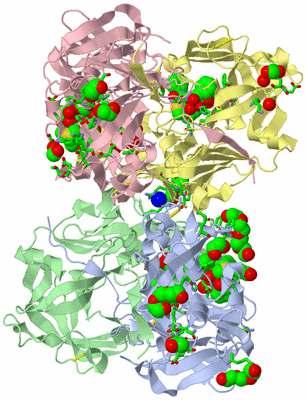 Image Biol. Unit 1 - sites