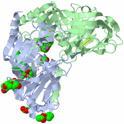 Image Biological Unit 2