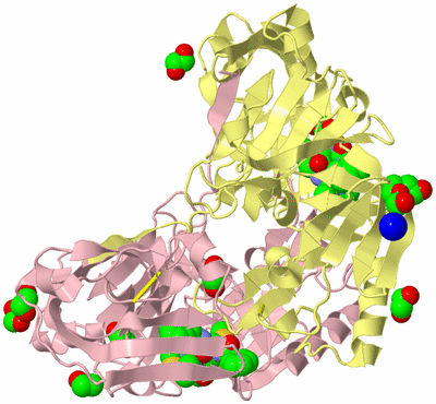 Image Biological Unit 3