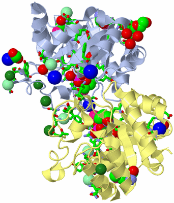 Image Biol. Unit 1 - sites