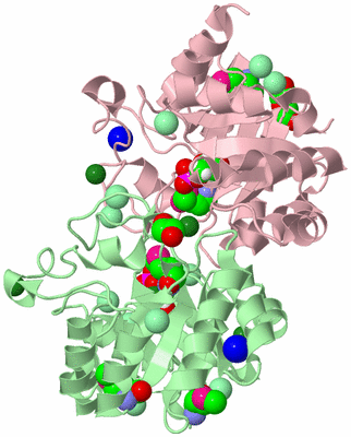 Image Biological Unit 2