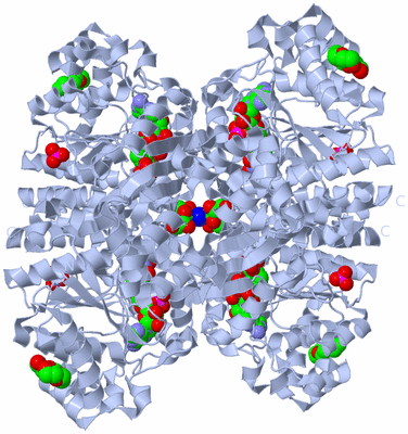 Image Biological Unit 1