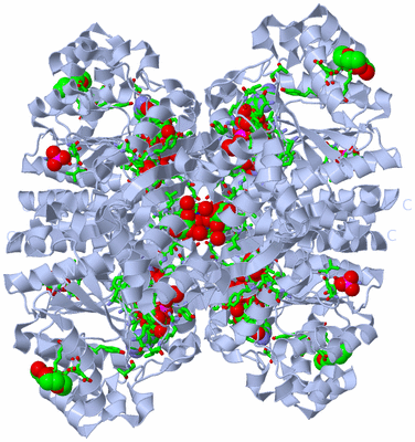 Image Biol. Unit 1 - sites