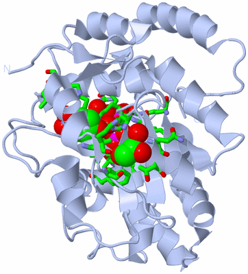 Image Biol. Unit 1 - sites