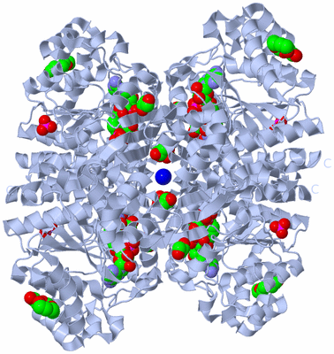 Image Biological Unit 1