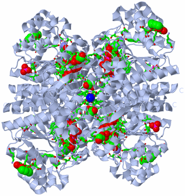 Image Biol. Unit 1 - sites