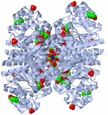 Image Biological Unit 1