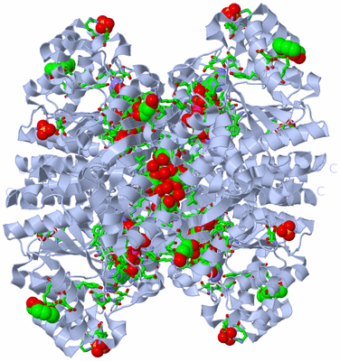 Image Biol. Unit 1 - sites