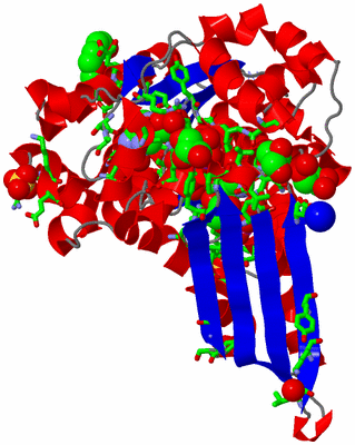 Image Asym. Unit - sites