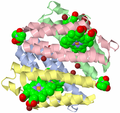 Image Asym./Biol. Unit