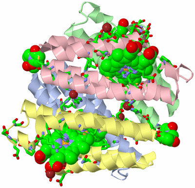Image Asym./Biol. Unit - sites