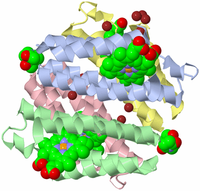 Image Asym./Biol. Unit