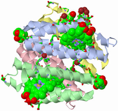 Image Asym./Biol. Unit - sites