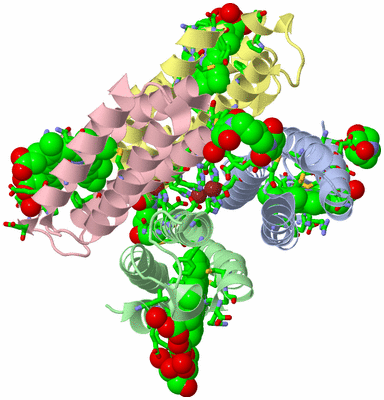 Image Asym./Biol. Unit - sites
