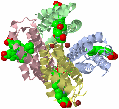 Image Asym./Biol. Unit