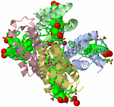 Image Asym./Biol. Unit - sites