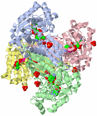 Image Asym./Biol. Unit