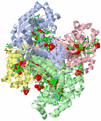 Image Asym./Biol. Unit - sites