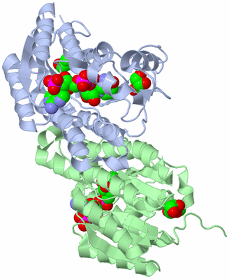 Image Biological Unit 1