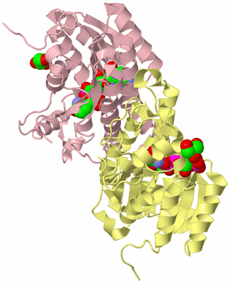 Image Biological Unit 2