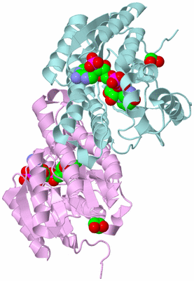 Image Biological Unit 3