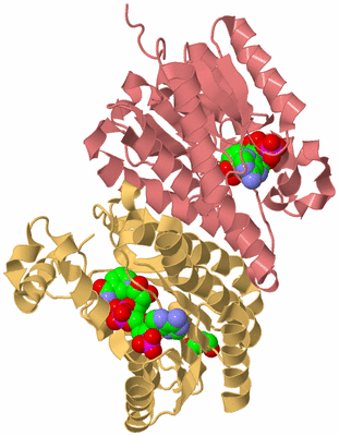 Image Biological Unit 4