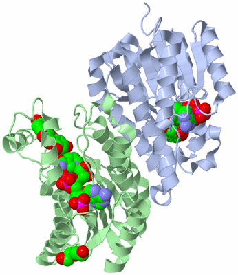 Image Biological Unit 1