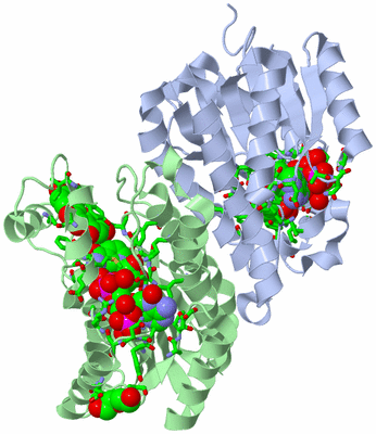 Image Biol. Unit 1 - sites