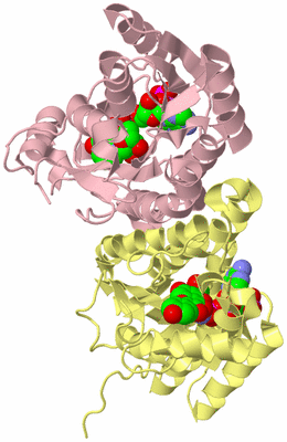 Image Biological Unit 2