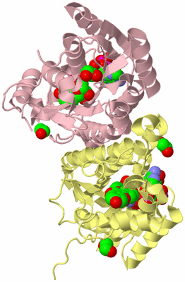 Image Biological Unit 2