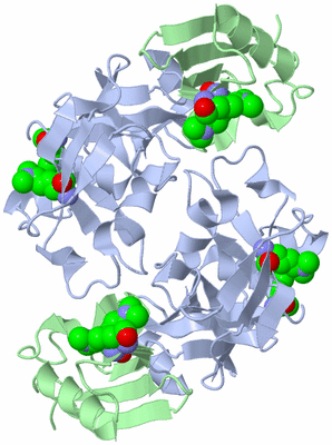 Image Biological Unit 2