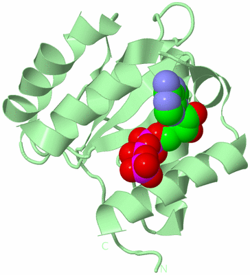 Image Biological Unit 2