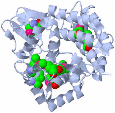 Image Biological Unit 1