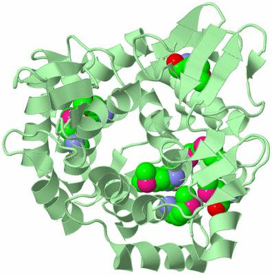 Image Biological Unit 2