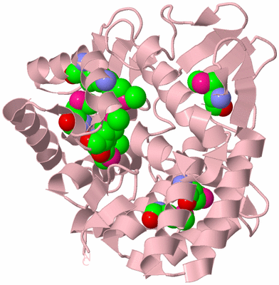 Image Biological Unit 3